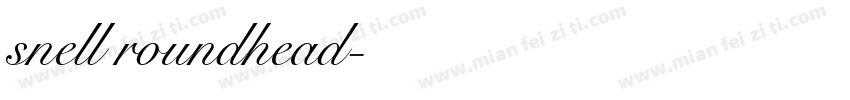 snell roundhead字体转换